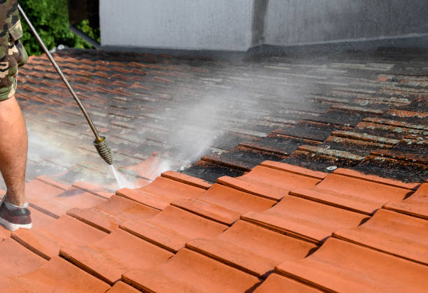 Best Roof Power Washing Services  in Ironwood, MI